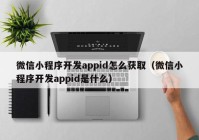 微信小程序開發(fā)appid怎么獲取（微信小程序開發(fā)appid是什么）