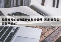 軟件開發(fā)的公司是什么都能做嗎（軟件開發(fā)公司是干嘛的）