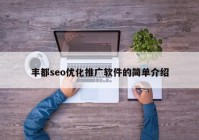 豐都seo優(yōu)化推廣軟件的簡單介紹