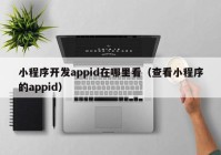 小程序開發(fā)appid在哪里看（查看小程序的appid）