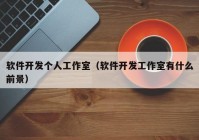 軟件開發(fā)個(gè)人工作室（軟件開發(fā)工作室有什么前景）