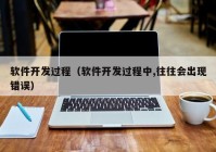 軟件開發(fā)過程（軟件開發(fā)過程中,往往會出現(xiàn)錯誤）