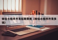 微信小程序開發(fā)后期費(fèi)用（微信小程序開發(fā)多錢）