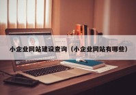 小企業(yè)網站建設查詢（小企業(yè)網站有哪些）