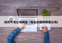 軟件開發(fā)公司網(wǎng)站（有名的軟件開發(fā)公司）