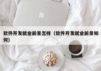 軟件開發(fā)就業(yè)前景怎樣（軟件開發(fā)就業(yè)前景如何）