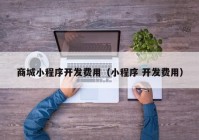 商城小程序開發(fā)費(fèi)用（小程序 開發(fā)費(fèi)用）