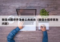 微信小程序開發(fā)者工具抓包（微信小程序抓包問(wèn)題）