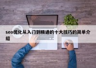 seo優(yōu)化從入門到精通的十大技巧的簡單介紹