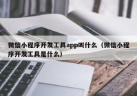 微信小程序開發(fā)工具app叫什么（微信小程序開發(fā)工具是什么）