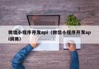 微信小程序開(kāi)發(fā)api（微信小程序開(kāi)發(fā)api調(diào)用）